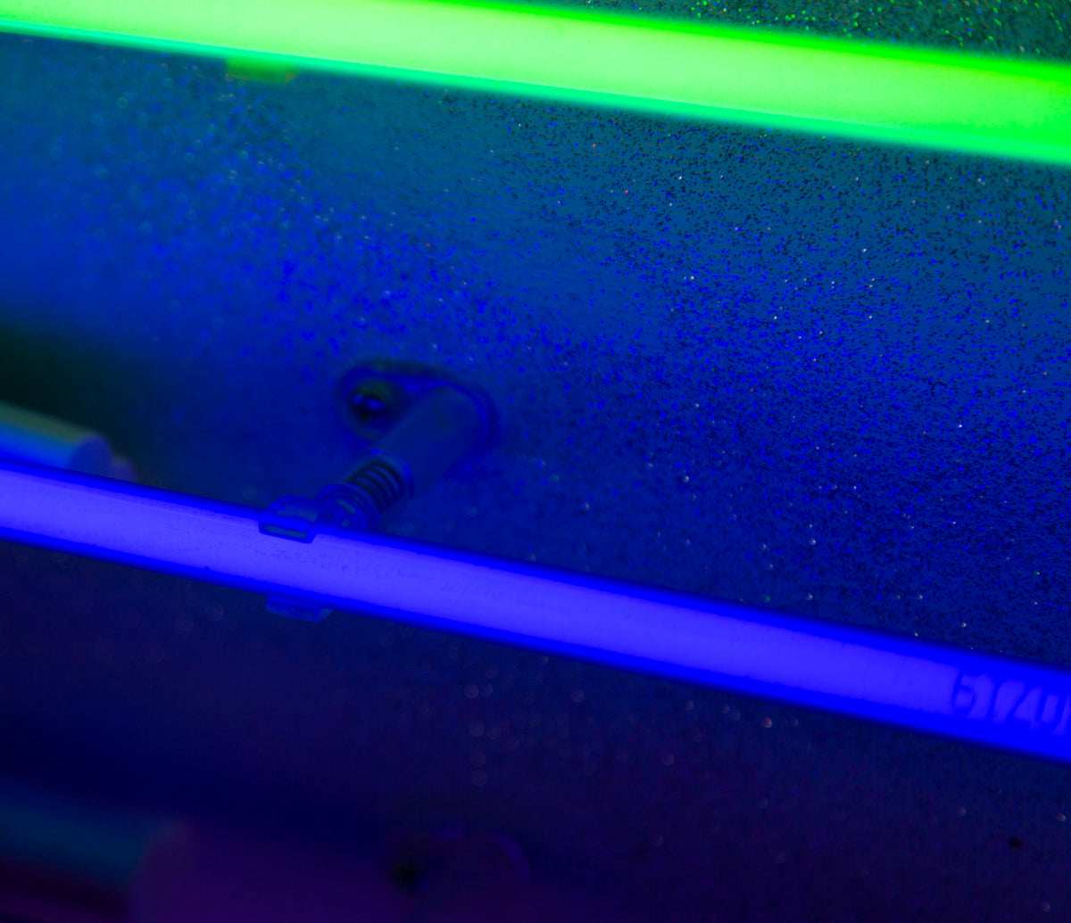 Neon Rainbow